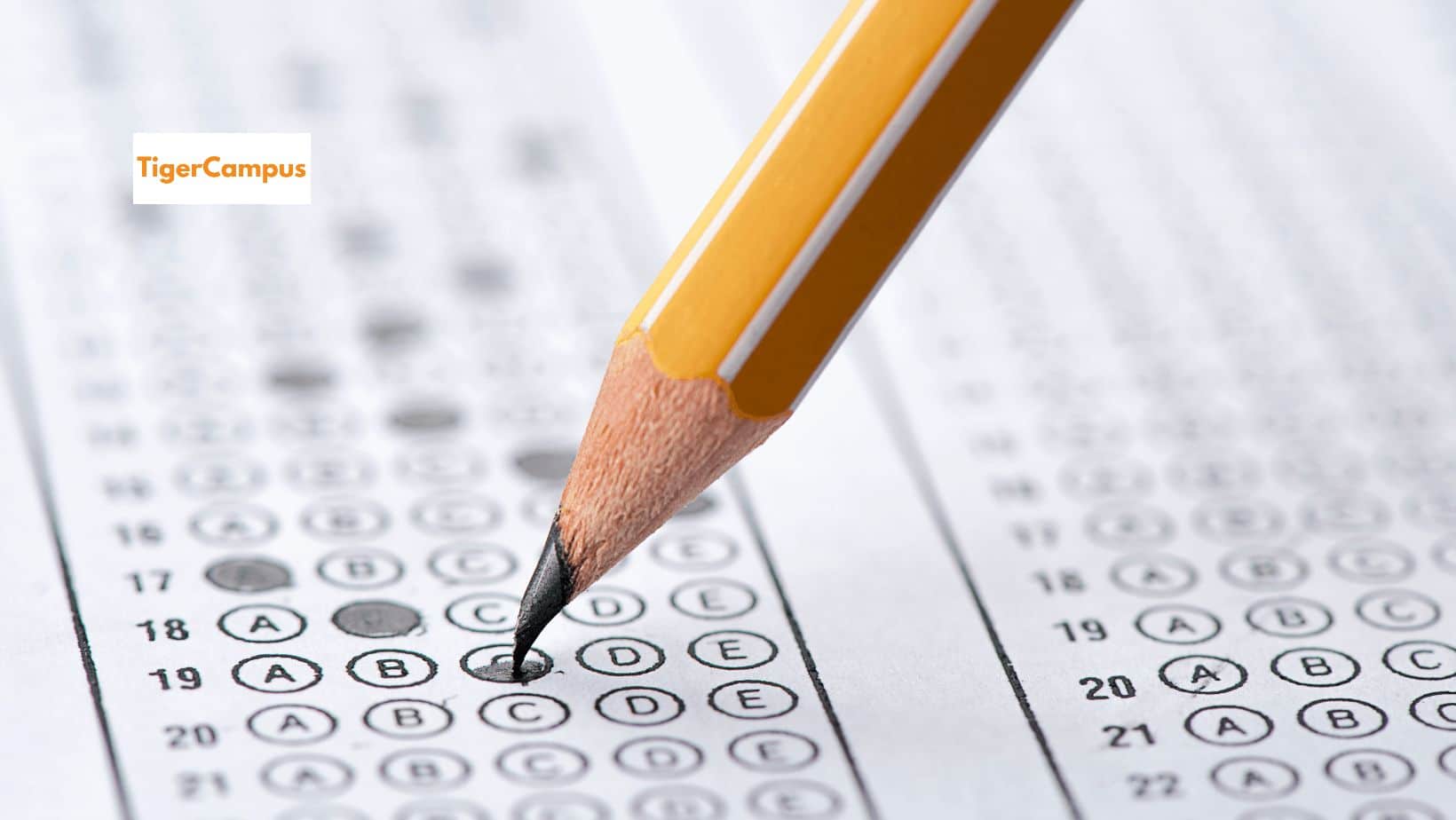 5 Study Tips for Acing the IGCSE Exams