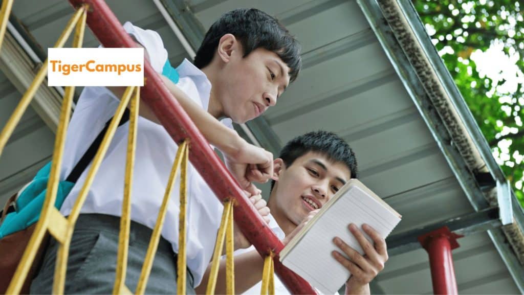 在香港国际学校任教