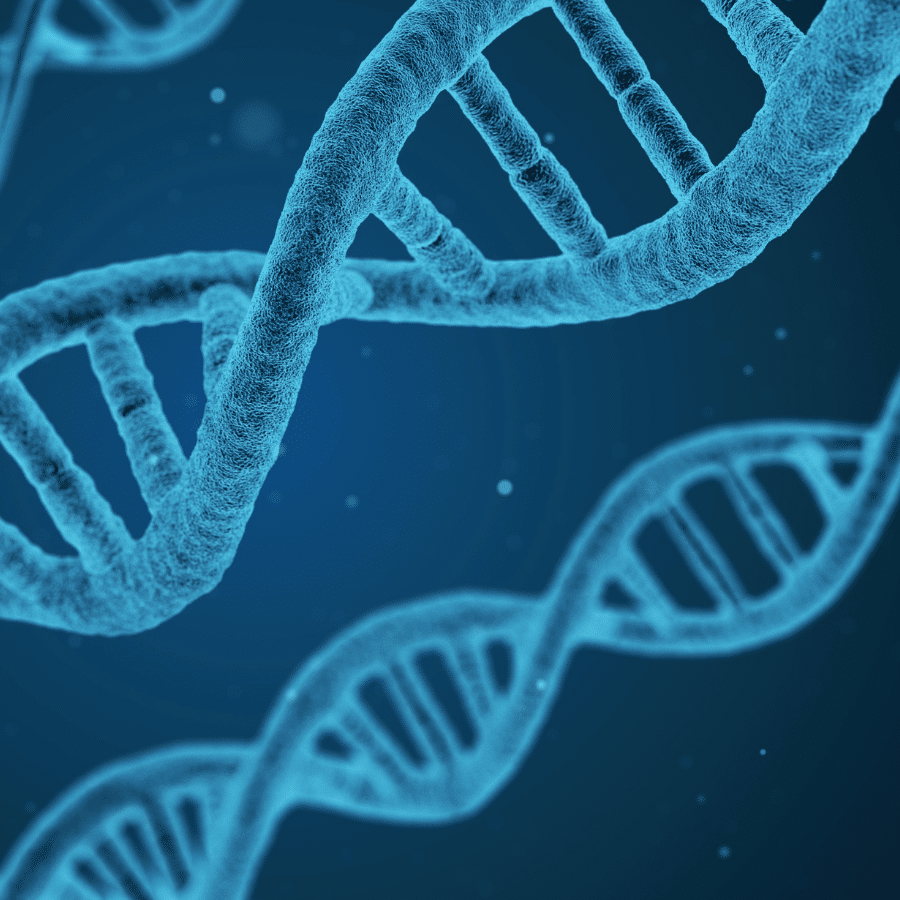 由香港最好的導師提供 IB 生物學在線和家庭補習