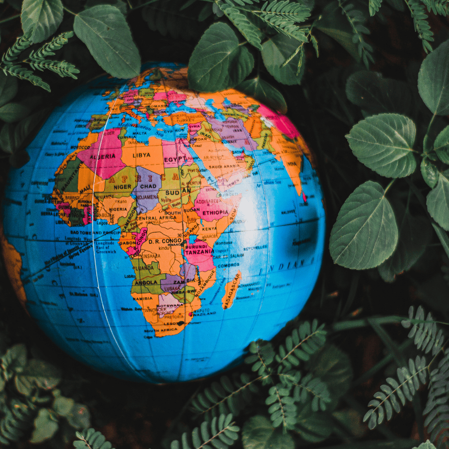 IGCSE Geography Tuition