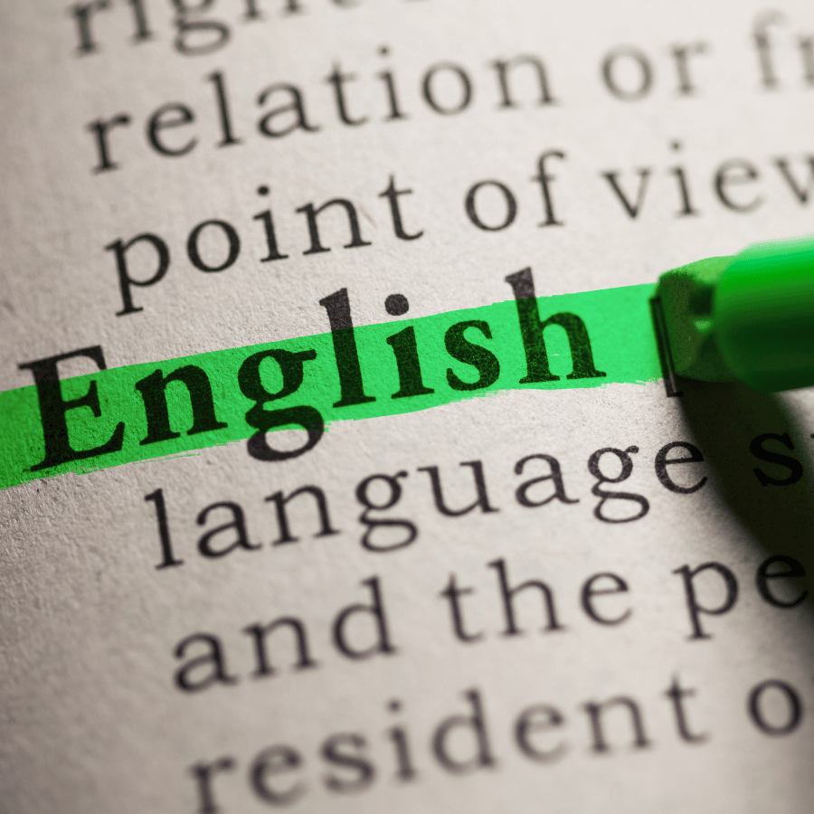 AP English Language and Composition Tuition