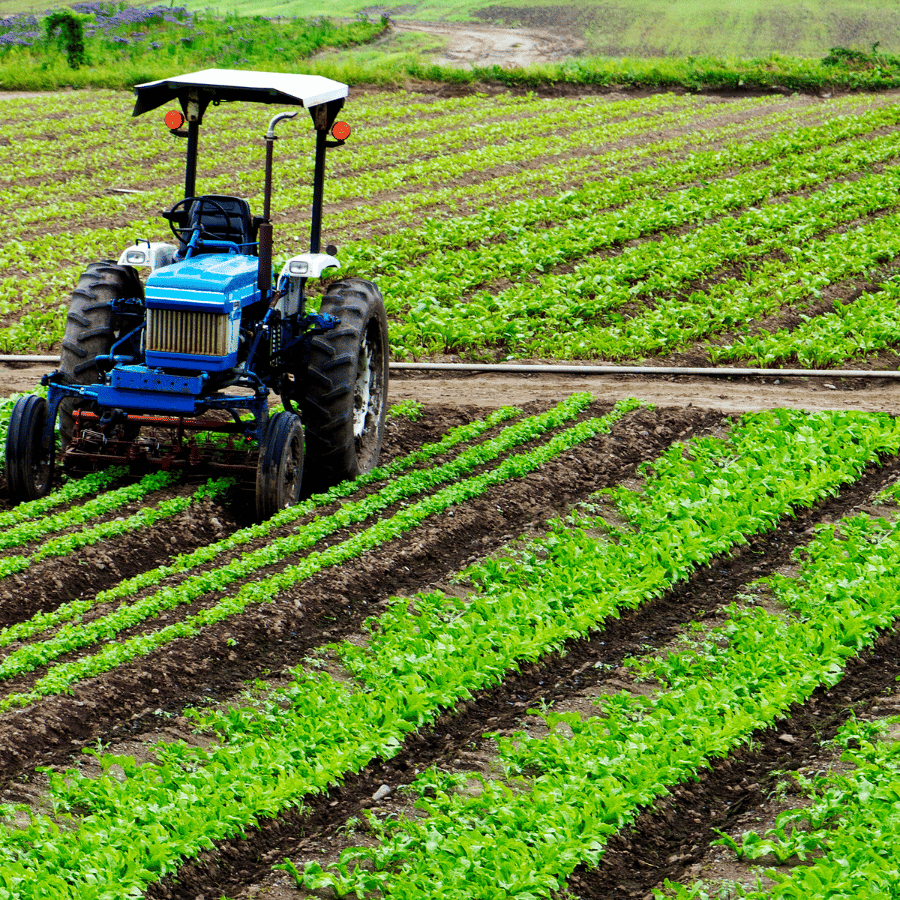 Agriculture Tuition